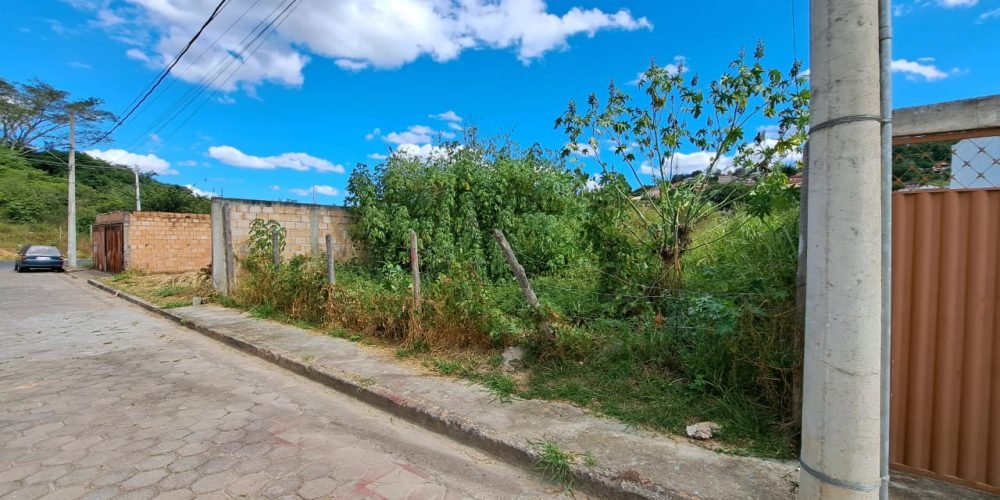 LOTE MANDACARU (1)
