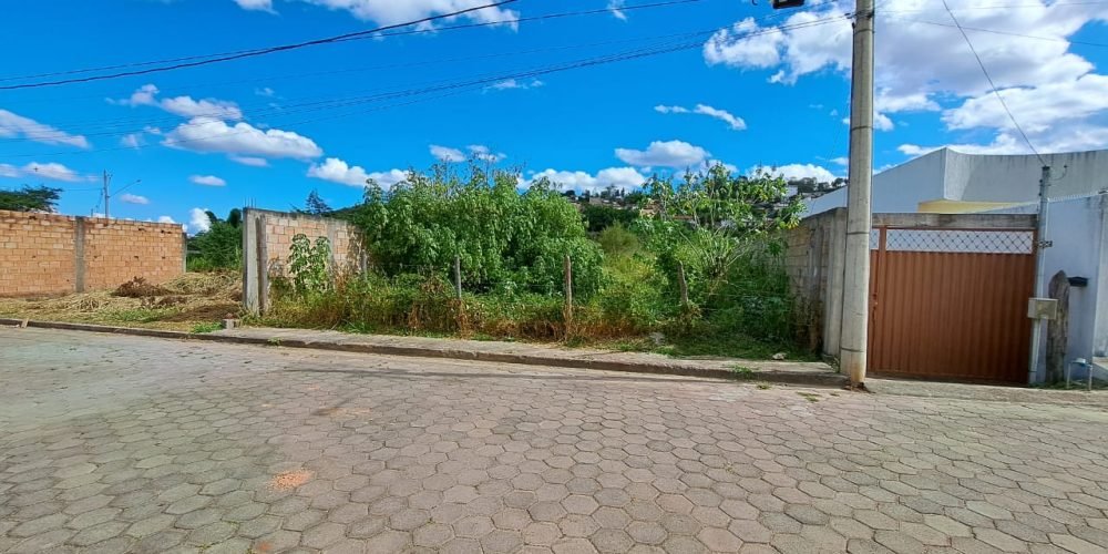 LOTE MANDACARU (3)