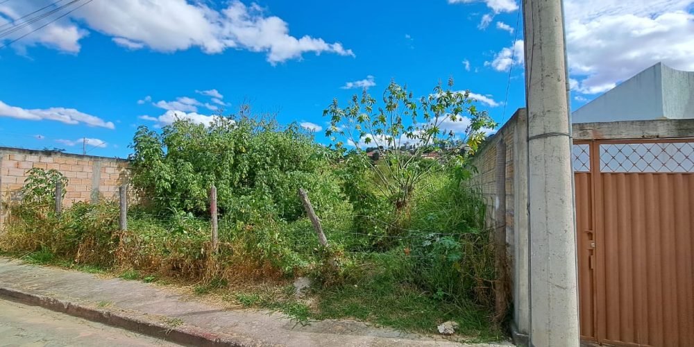 LOTE MANDACARU (4)