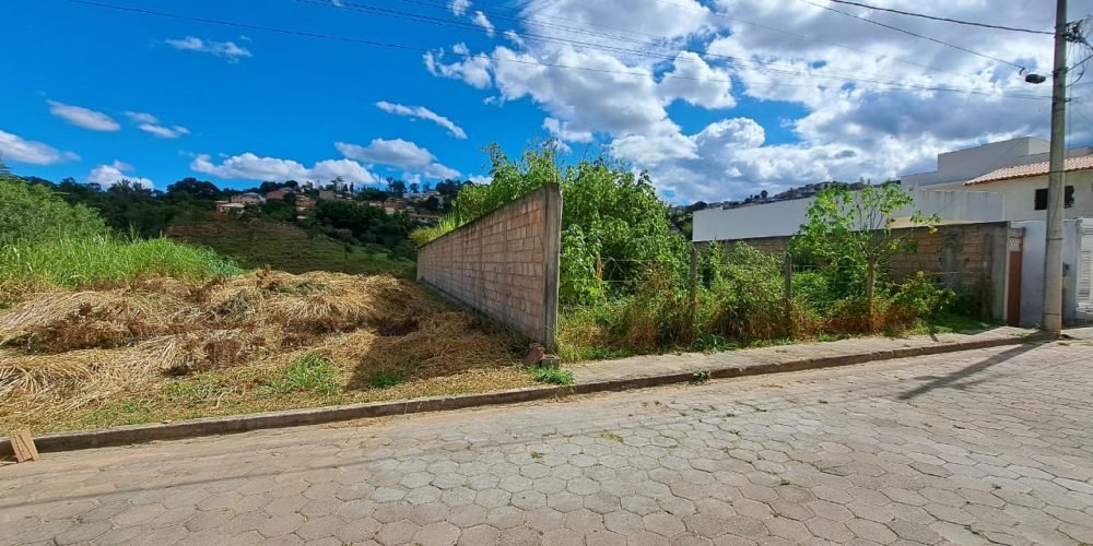 LOTE MANDACARU (6)