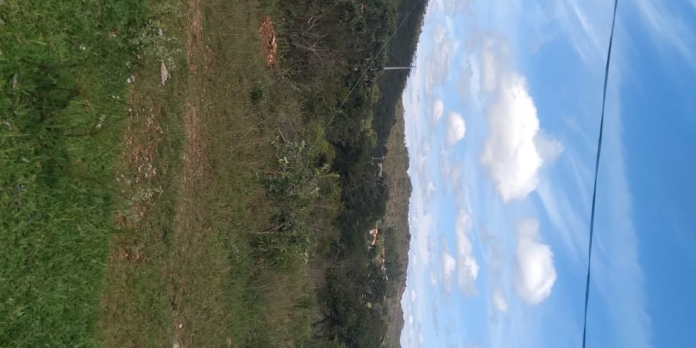 LOte Barão de Guaicui Agnaldo (10)