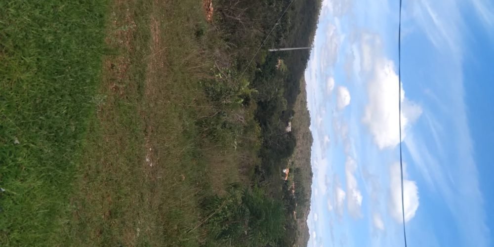 LOte Barão de Guaicui Agnaldo (8)