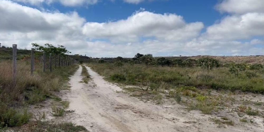 Lote 1000 m Lagoa Azul (2)