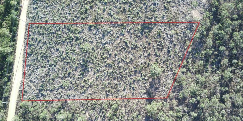 Lote Bandeirinhas (1)