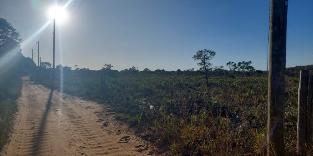 Lote Bandeirinhas (10)