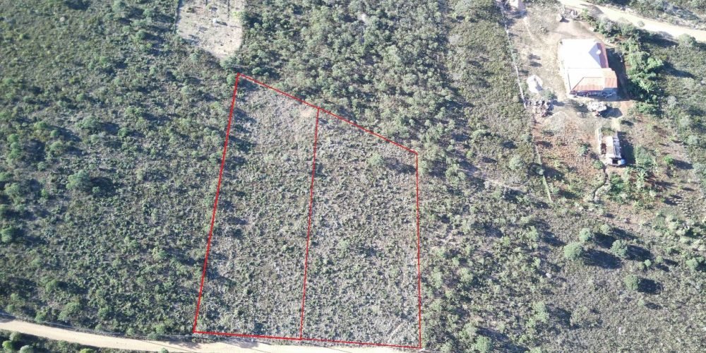 Lote Bandeirinhas (2)