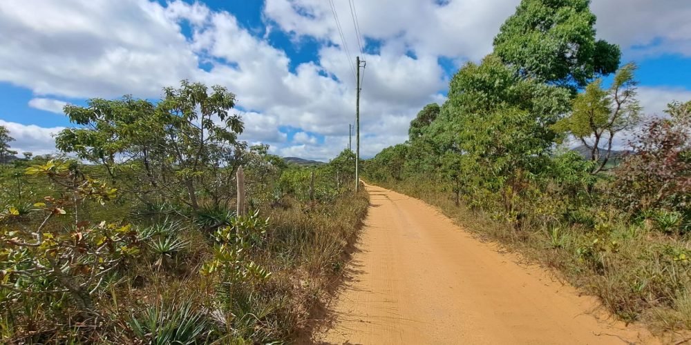 Lote Bandeirinhas (4)
