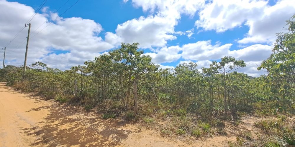 Lote Bandeirinhas (5)