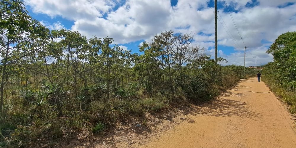 Lote Bandeirinhas (7)