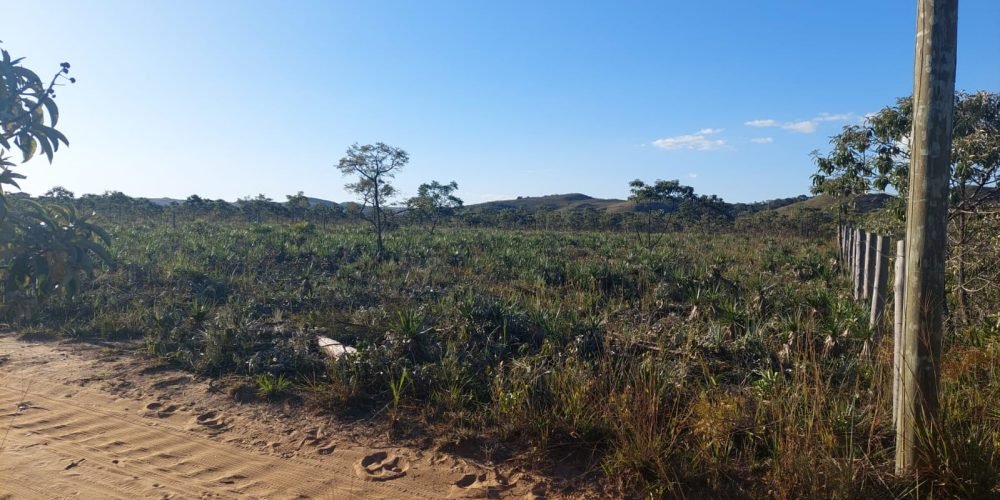 Lote Bandeirinhas (9)