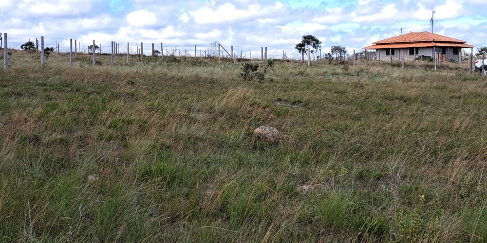 Lote Guinda (11)