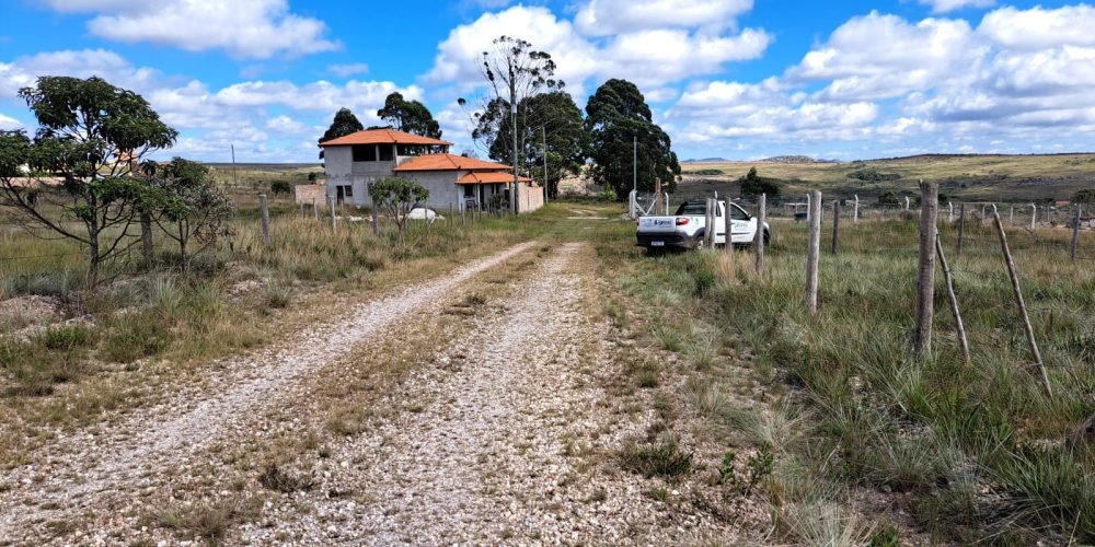 Lote Guinda (19)