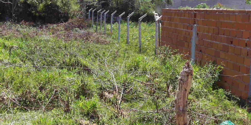 Lote Guinda Murado (5)