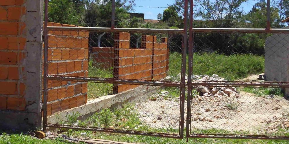 Lote Guinda Murado (7)