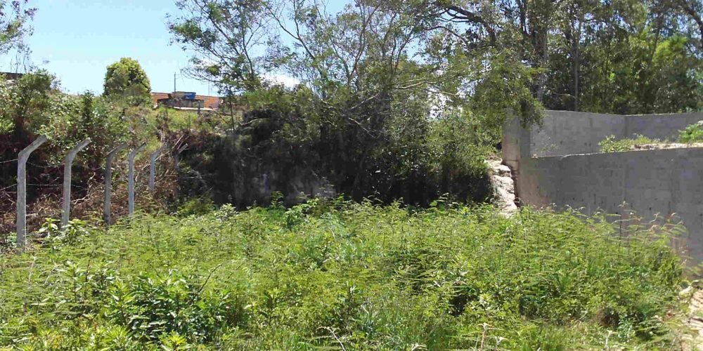Lote Guinda Murado (9)