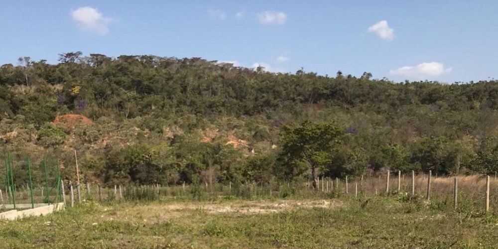 Lote Vau (2)