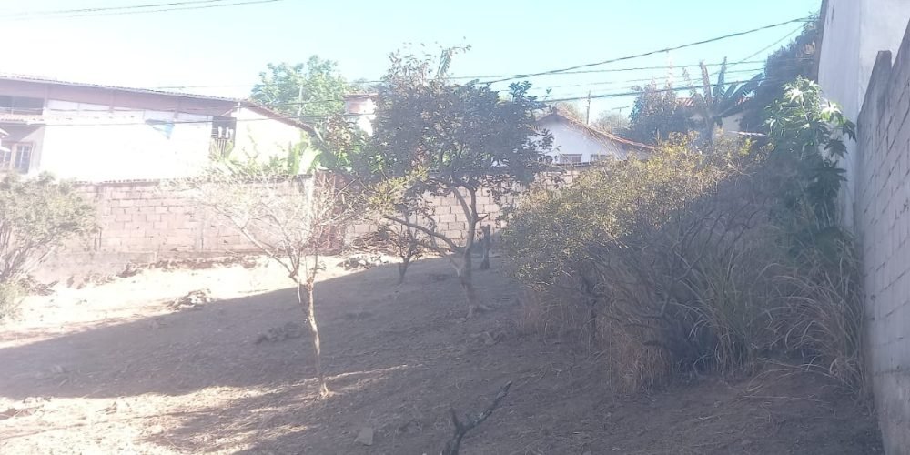 Lotes na Rua da Palha murado (5)