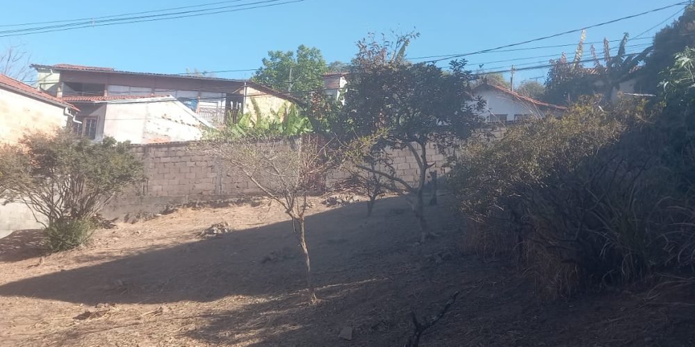 Lotes na Rua da Palha murado (6)